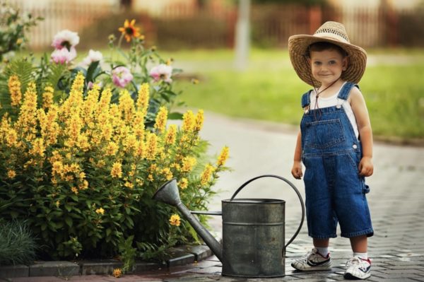 shutterstock_153432311-smaller-hat