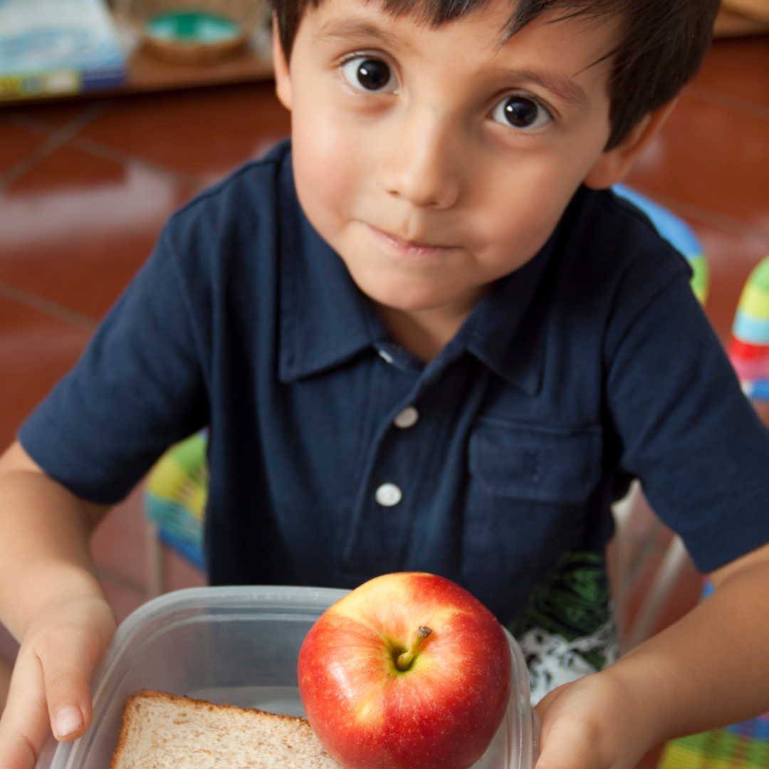 Lunchbox Lessons lunchbox-lessons